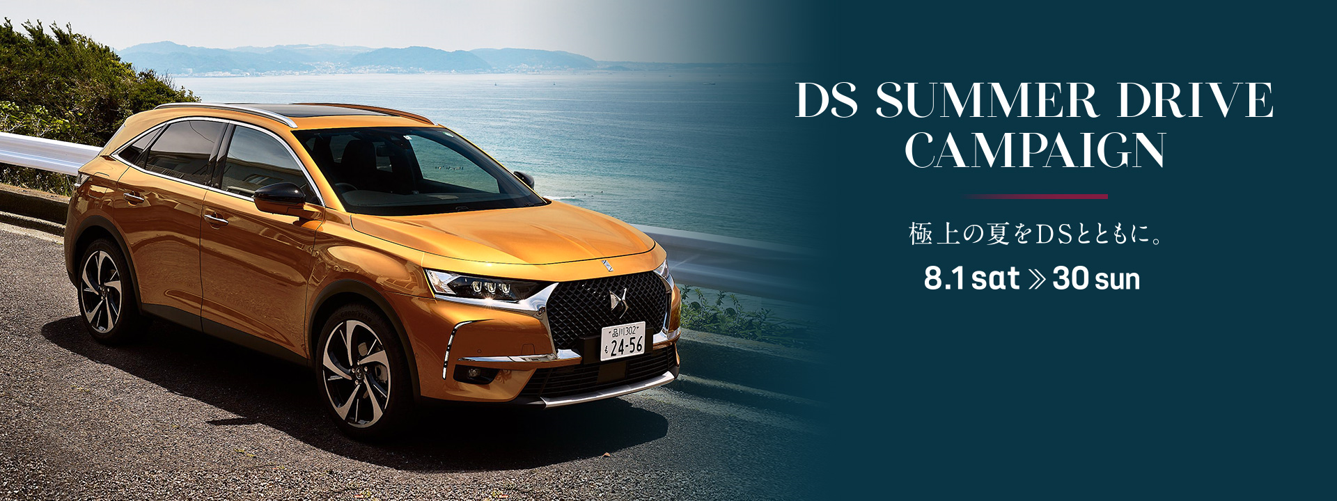 DS SUMMER DRIVE CAMPAIGN
